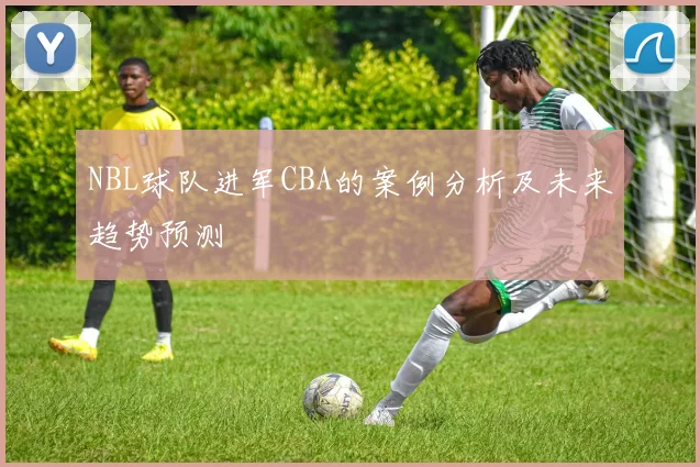 NBL球队进军CBA的案例分析及未来趋势预测
