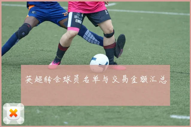 英超转会球员名单与交易金额汇总