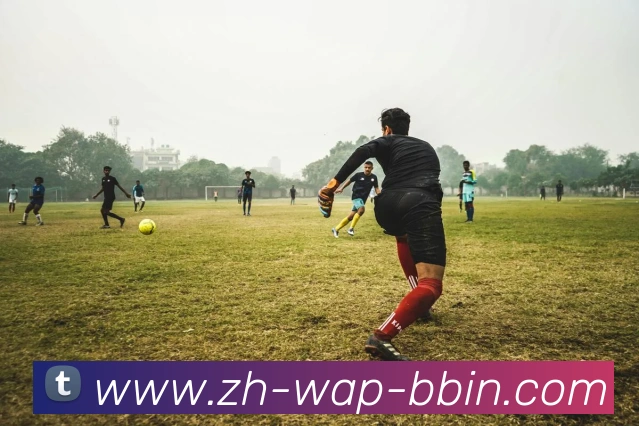 bbin宝盈平台生态图