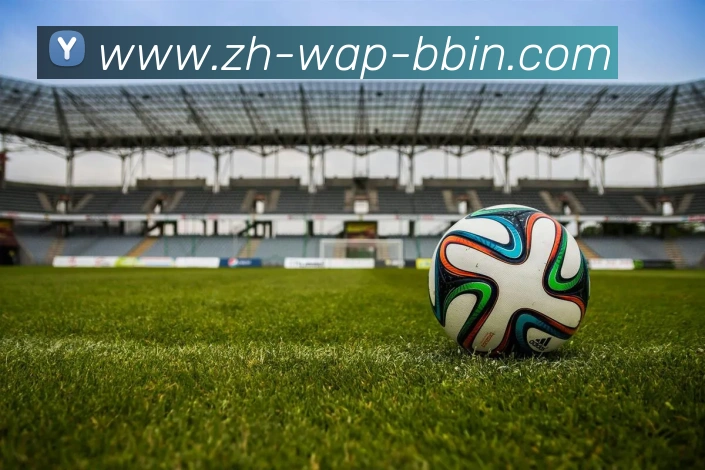 bbin宝盈APP 封面图